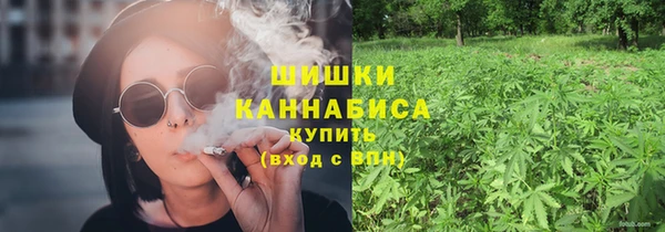 a pvp Инсар