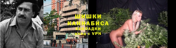 a pvp Инсар
