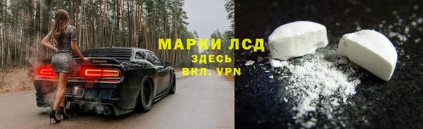 a pvp Инсар